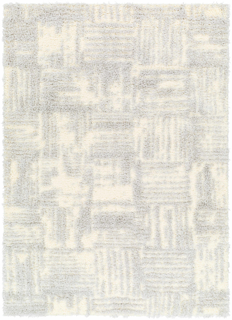 Sample Iduia Gray Plush Area Rug-0