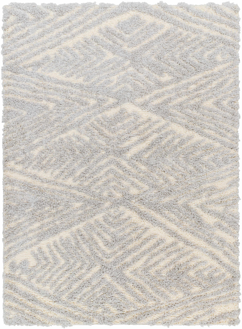 Sample Ioana Gray Plush Area Rug-0