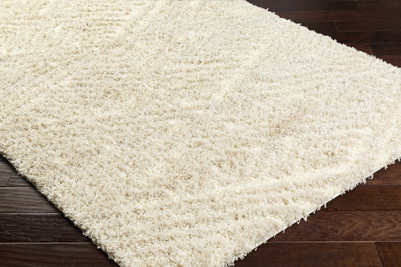 Sample Ioana Beige Plush Area Rug-0