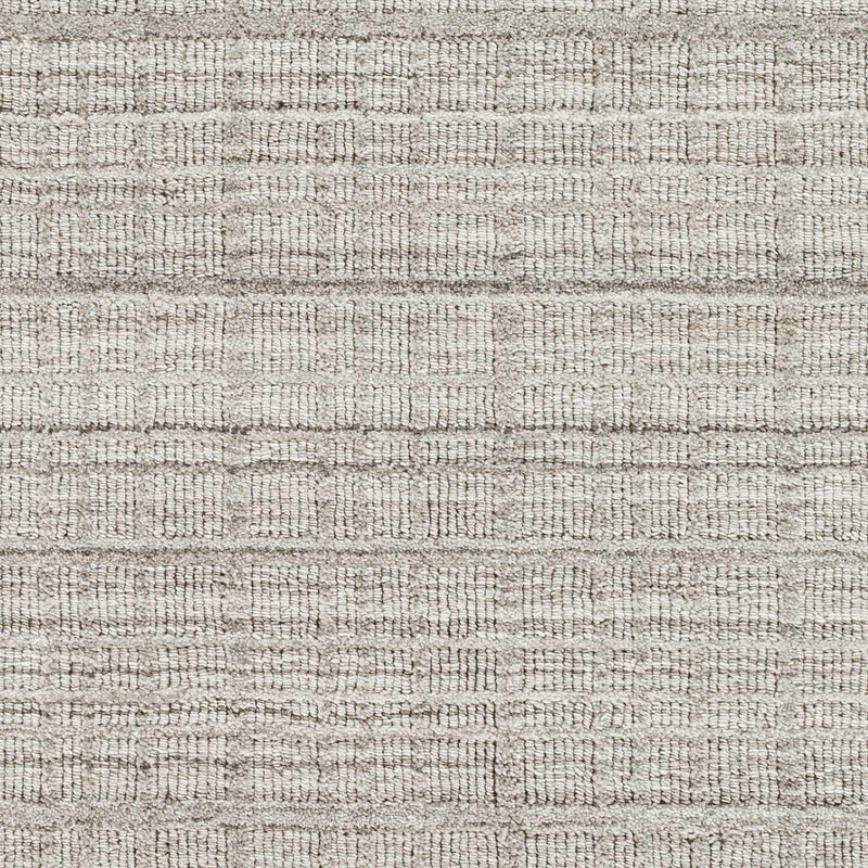 Sample Amada Taupe Area Rug-0