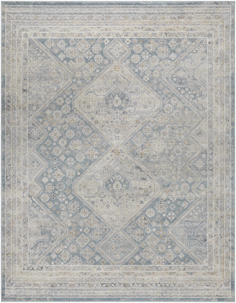 Sample Sagen Blue Medallion Area Rug-0