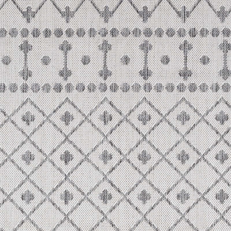 Sample Lali Light Gray Area Rug-0