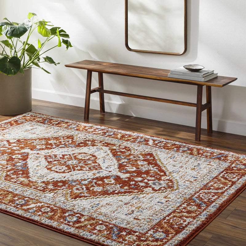 Sample Jeong Rust Area Rug-0