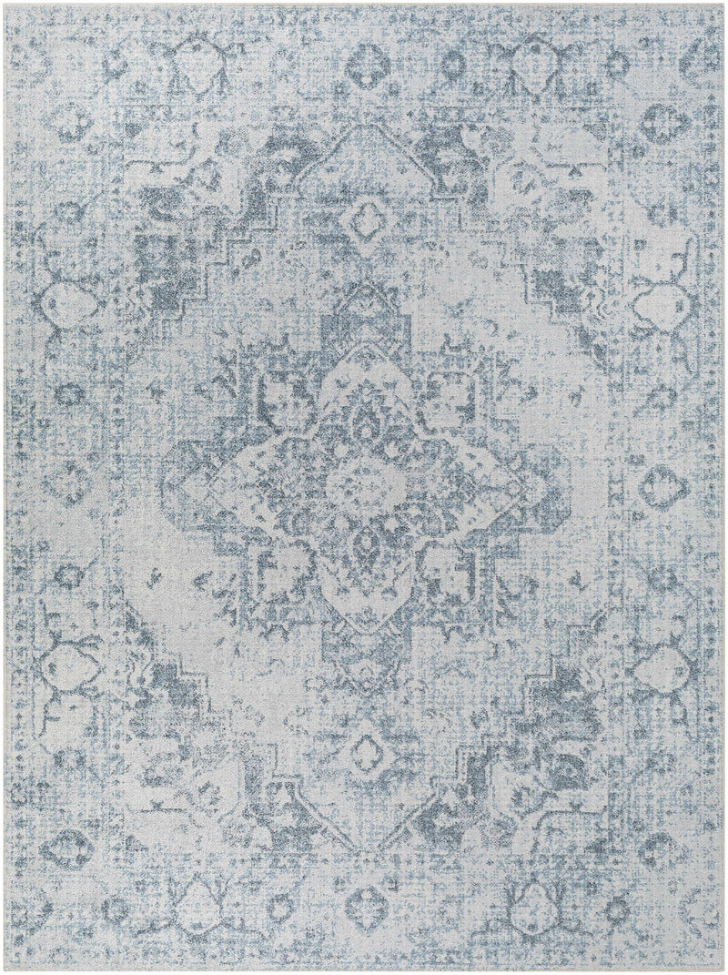 Sample Ankti Aqua Washable Area Rug-0