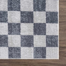 Sample Alie Gray Checkered Washable Area Rug-0
