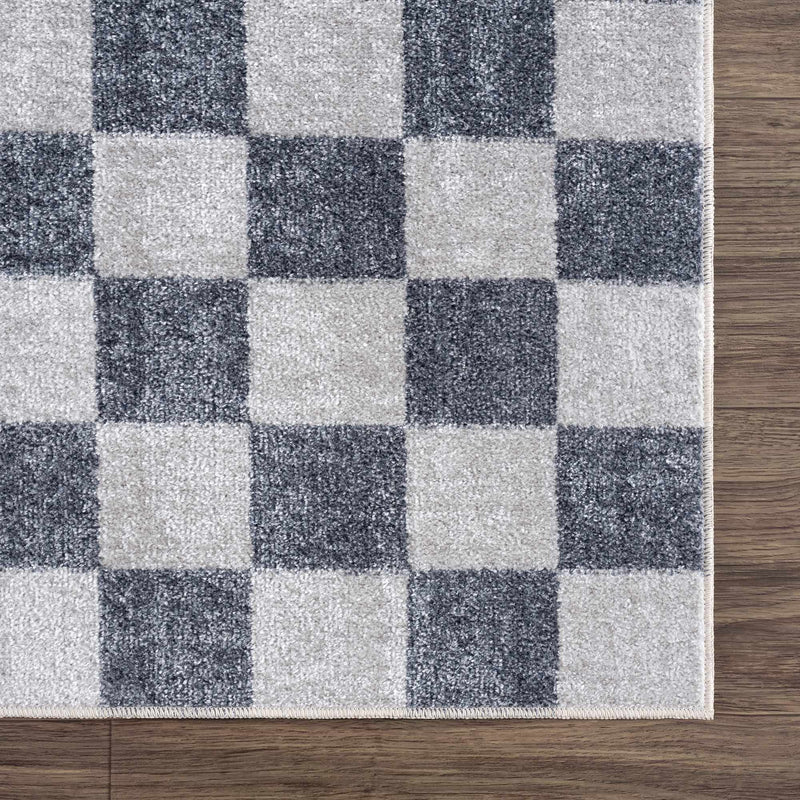 Sample Alie Gray Checkered Washable Area Rug-0