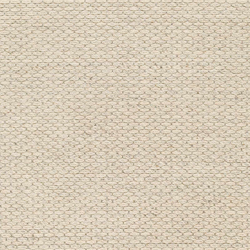 Sample Beige Emlen Area Rug-0