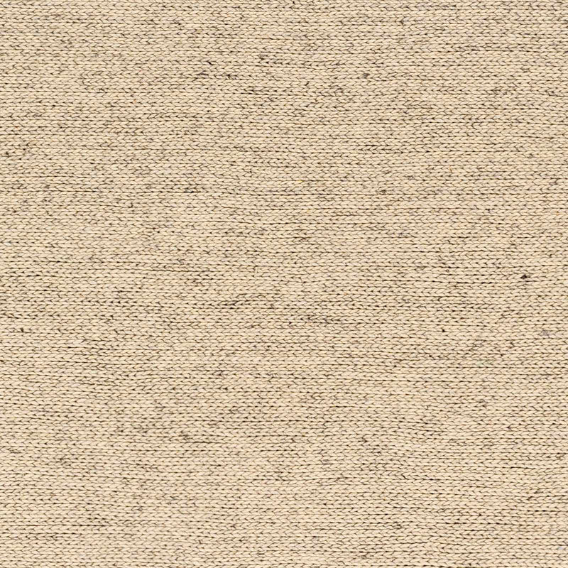 Sample Alyra Beige Solid Area Rug-0