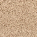 Sample Alyra Tan Solid Area Rug-0