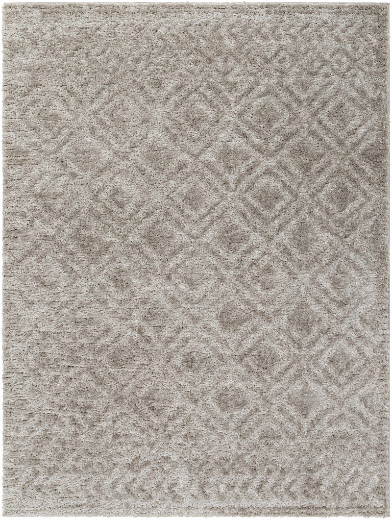 Sample Amnon Area Rug-0