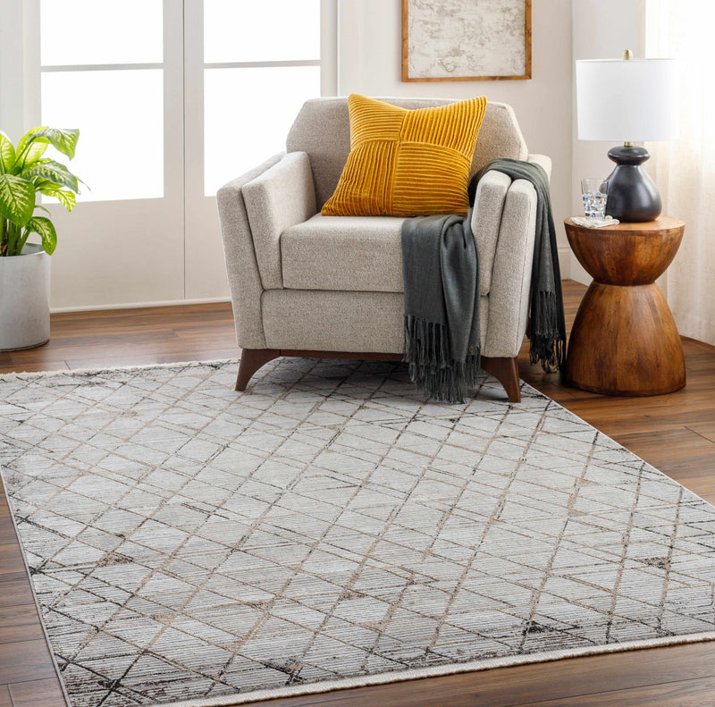 Sample Luol Light Gray Area Rug-0