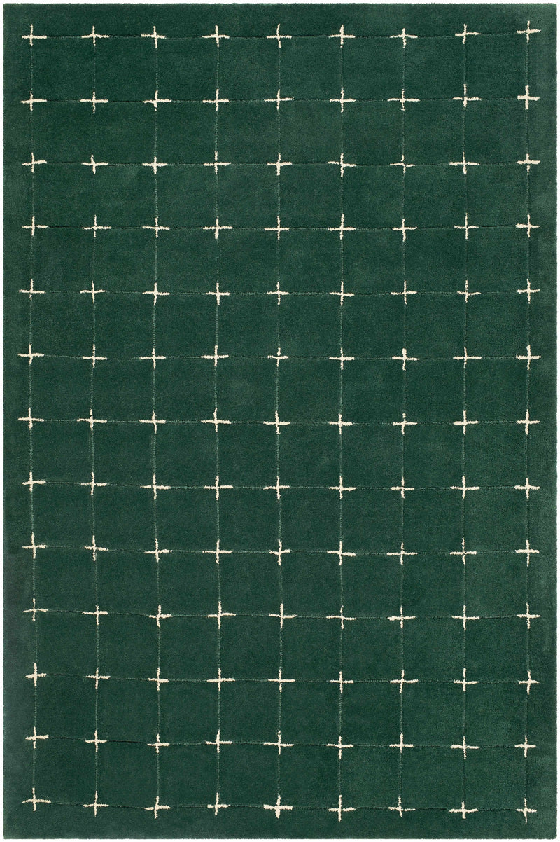 Sample Sanvi Green Wool Area Rug-0