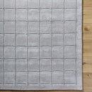 Sample Sanvi Area Rug-0