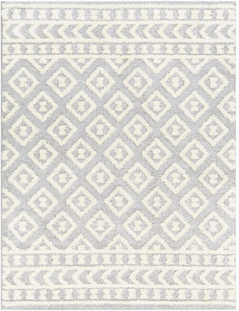 Sample Felix Gray Plush Area Rug-0