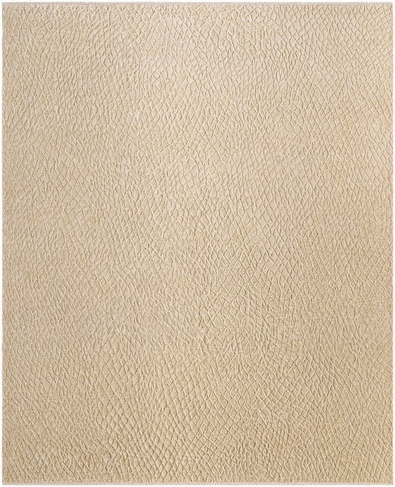 Sample Nitsa Tan Hand Knotted Area Rug-0