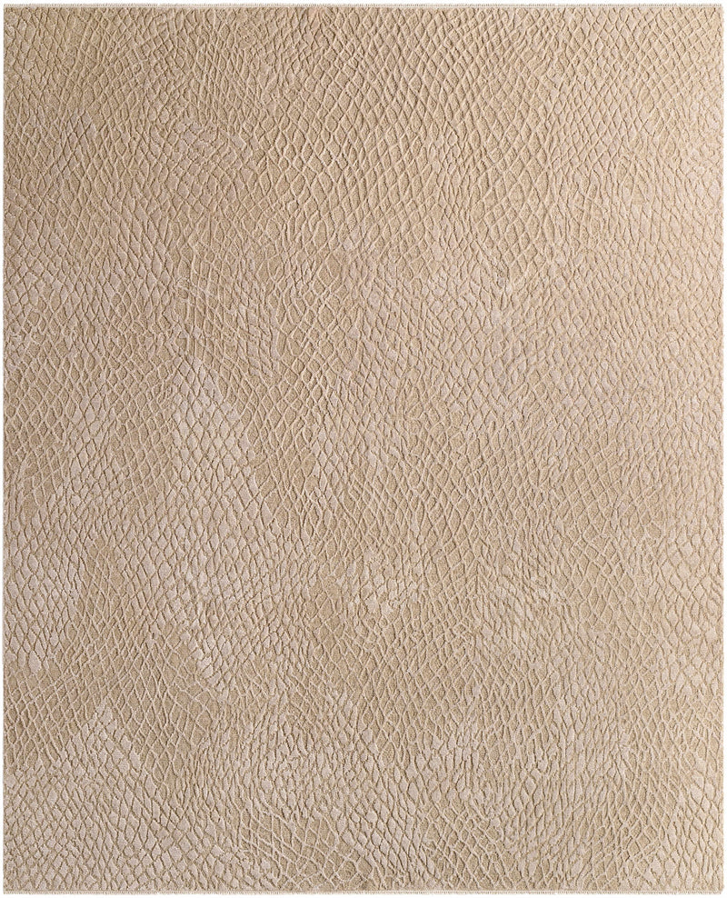 Sample Nitsa Area Rug-0