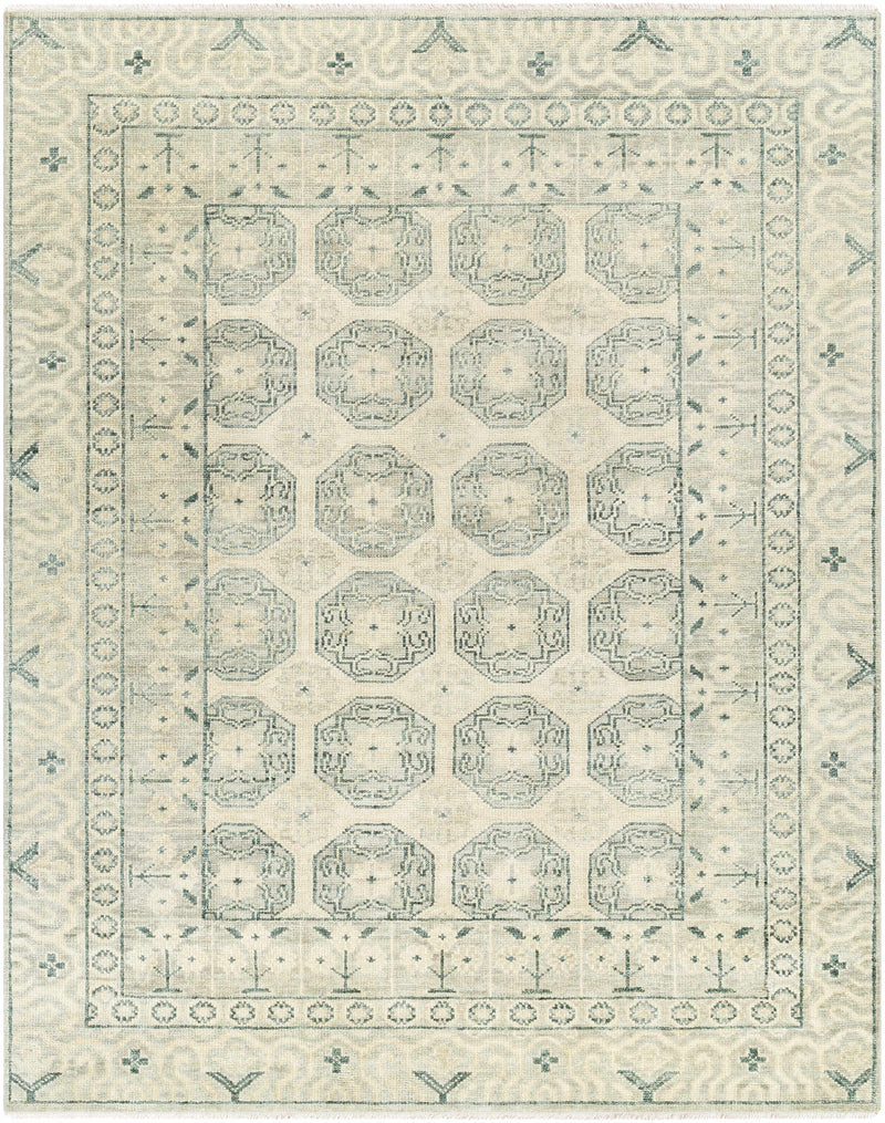 Sample Herve Area Rug-0