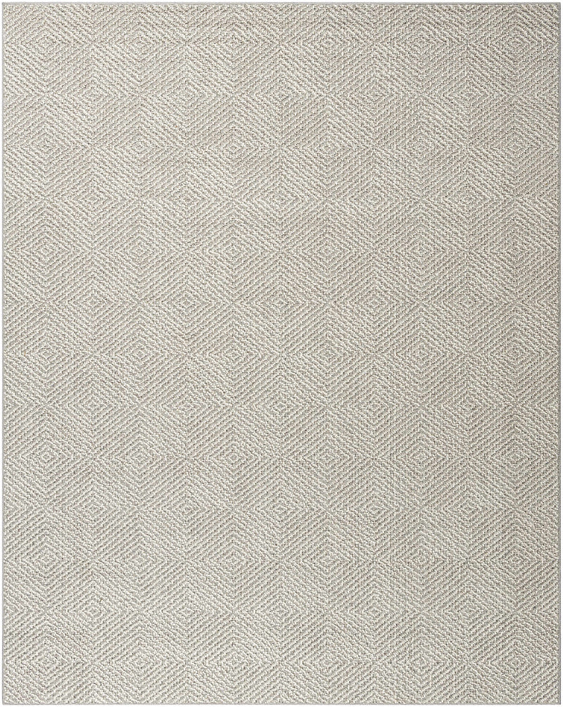 Sample Broox Gray Area Rug-0