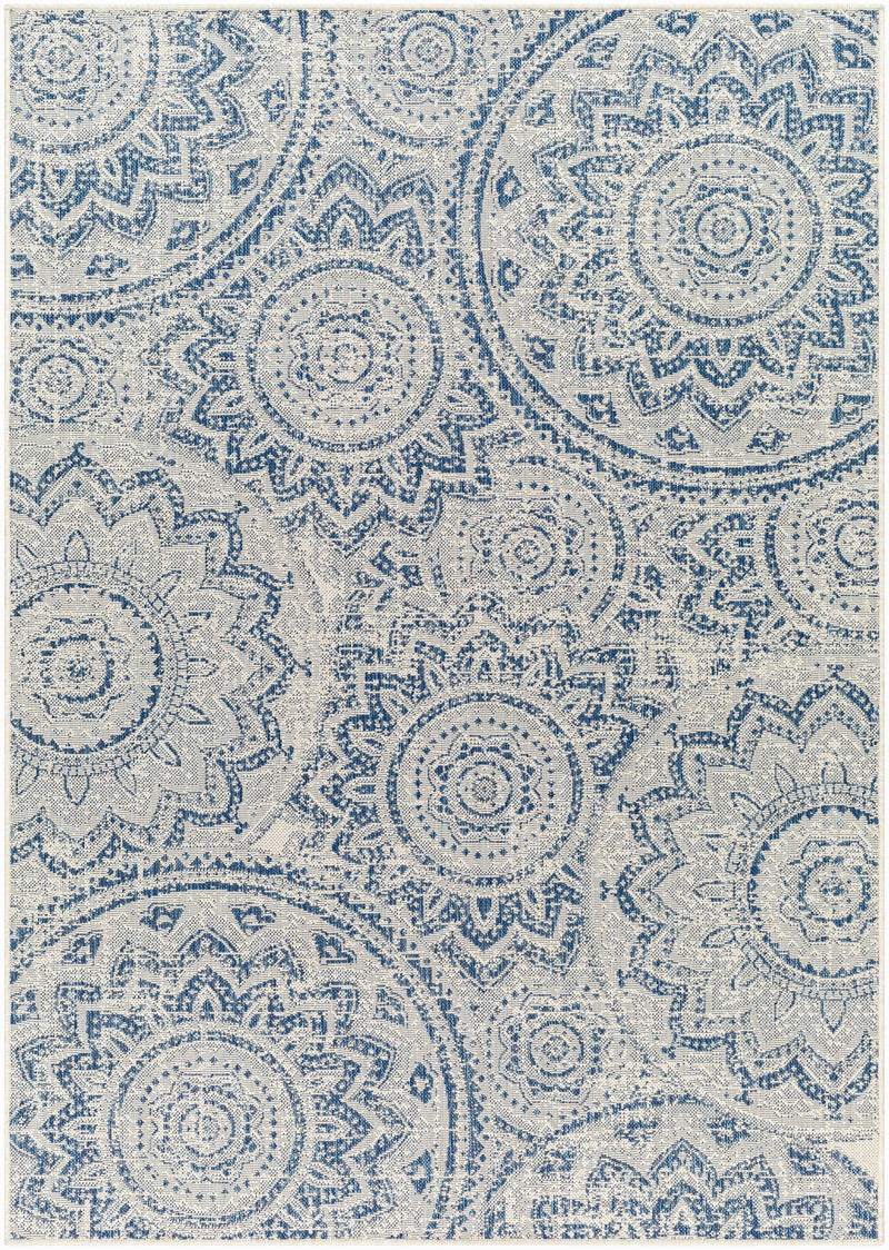 Sample Ayala Blue Area Rug-0