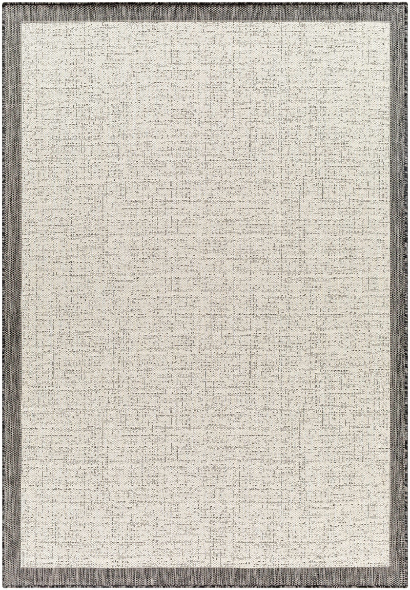 Sample Demas Gray & Cream Area Rug-0