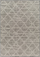 Sample Ivory Black & White Area Rug-0