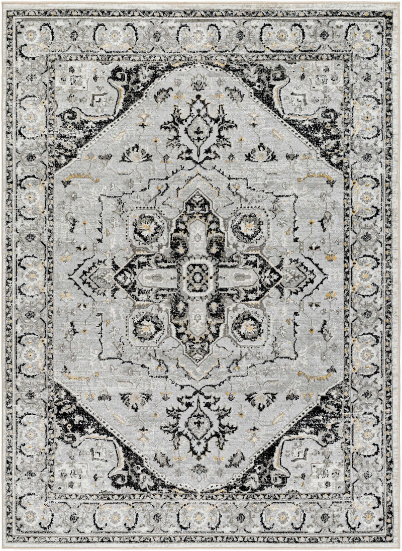 Sample Gauri Gray Medallion Area Rug-0