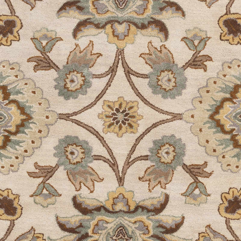 Sample Conesus Hand Tufted Tan 1012 Area Rug-0