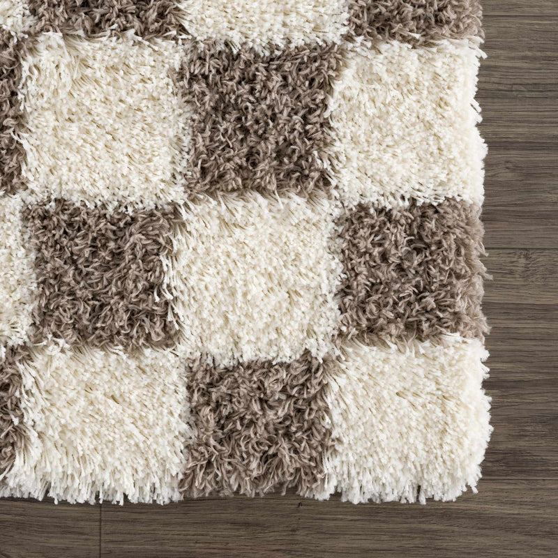 Sample Atira Brown Checkered Area Rug-0