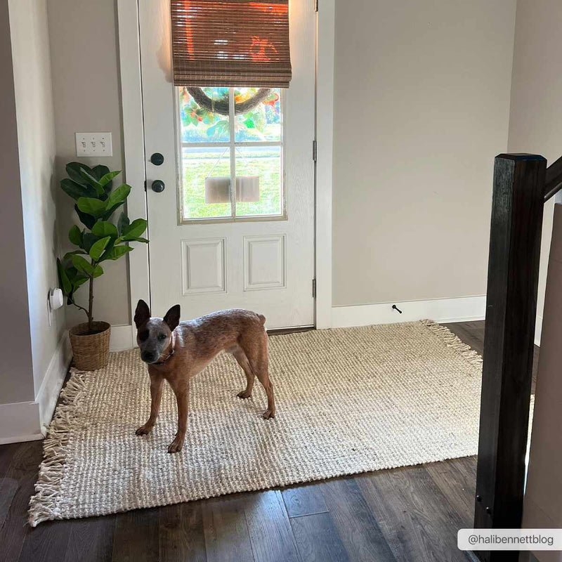 Senneterre Bleached Jute Rug-2