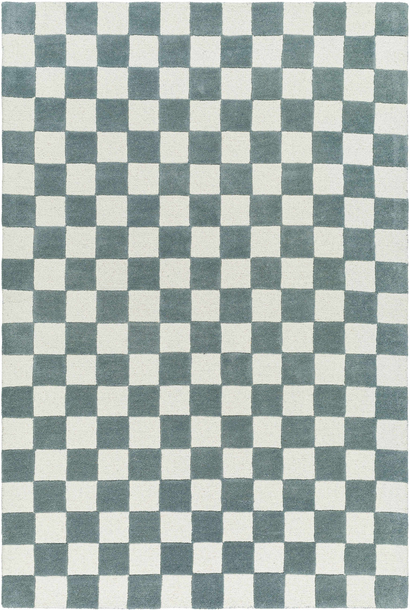 Sample Timin Blue Gray Checkered Area Rug-0