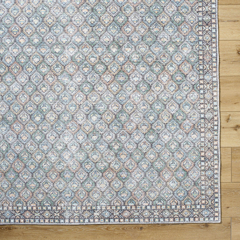 Sample Telma Washable Area Rug-0