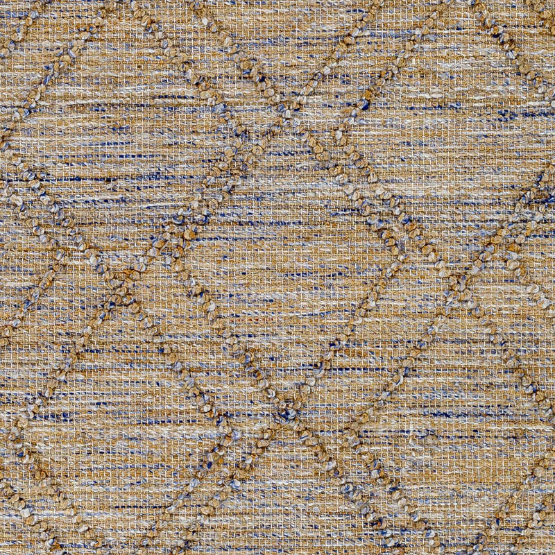 Sample Buse Hand Woven Beige & Blue Area Rug-0