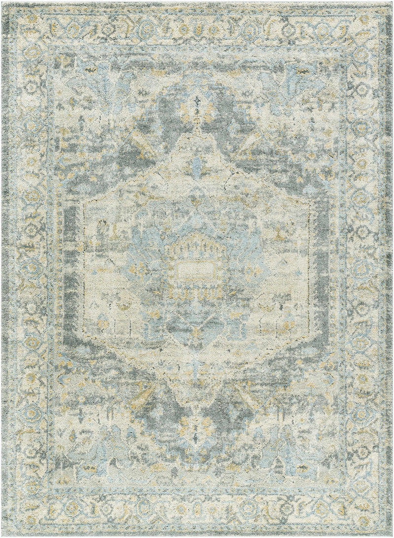 Sample Vaeda Blue Medallion Area Rug-0