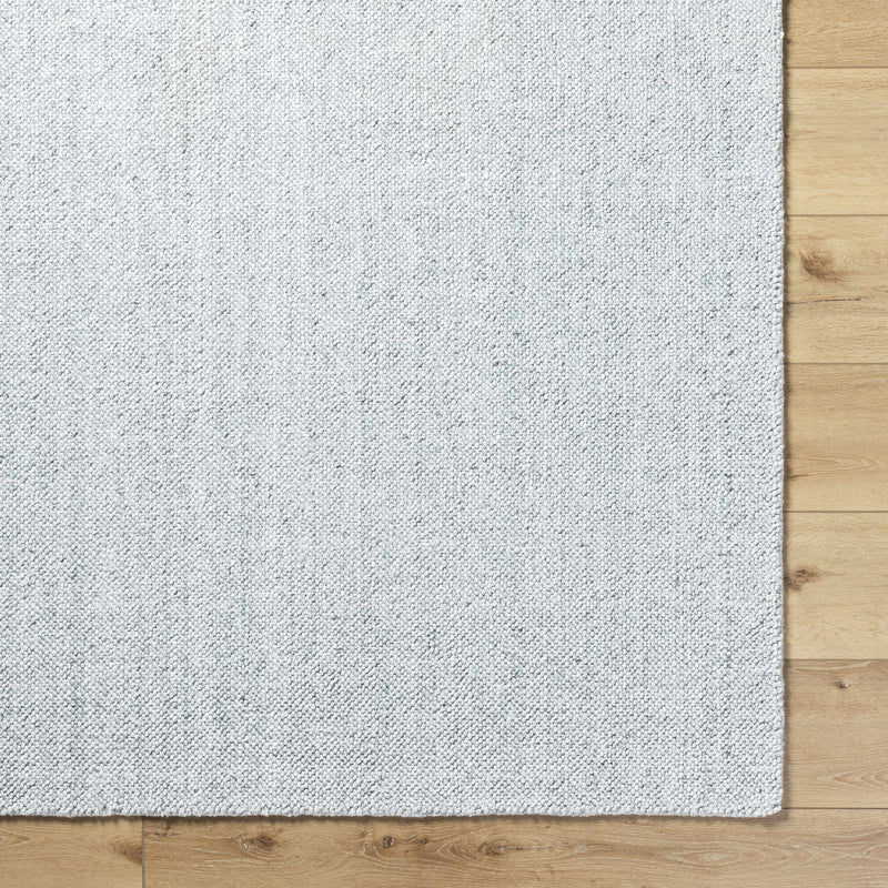 Sample Zareh Gray Blue Solid Area Rug-0