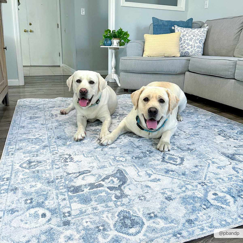 Sample Ankti Blue Washable Area Rug-0