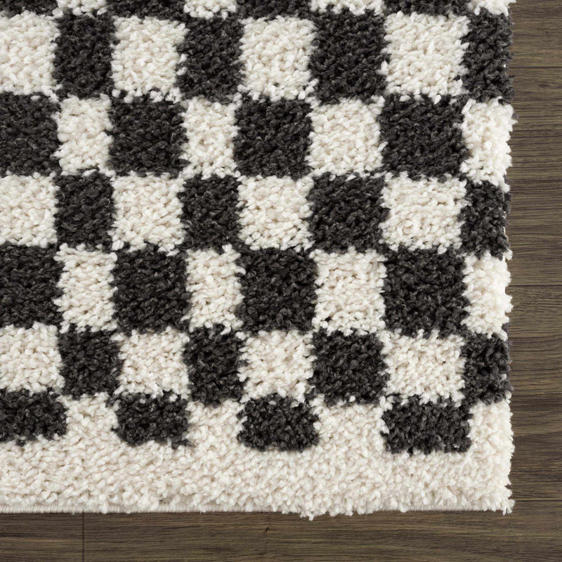 Sample Kieu Black & White Checkered Area Rug-0