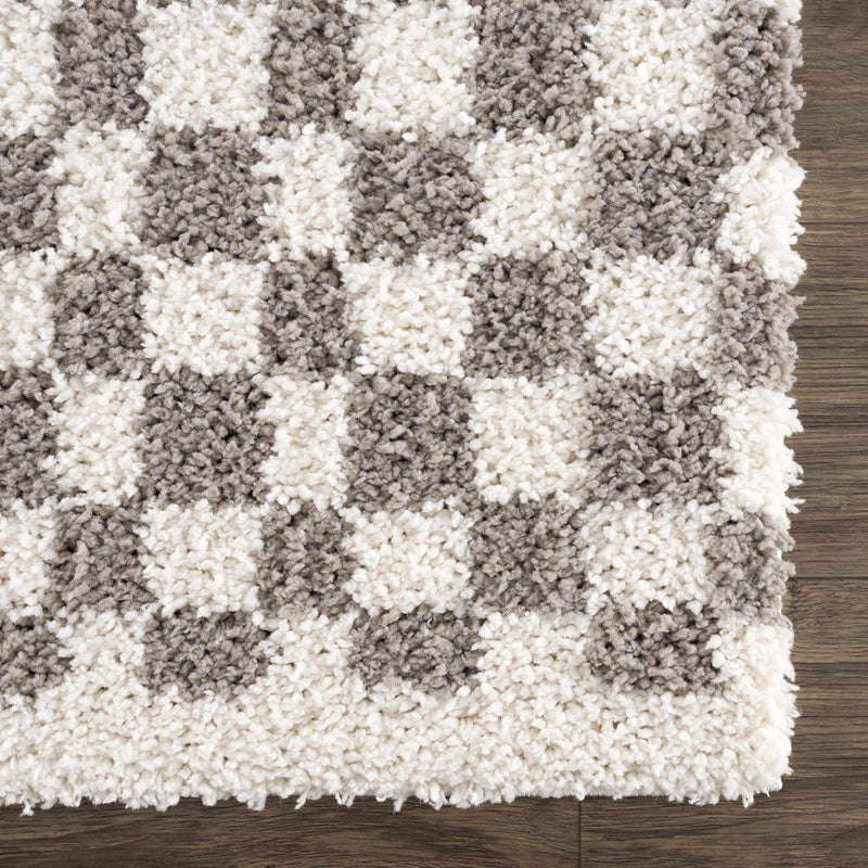 Sample Kieu Taupe Checkered Area Rug-0