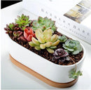 Succulent Planter -Elongated-2