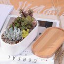 Succulent Planter -Elongated-1