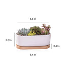 Succulent Planter -Elongated-4