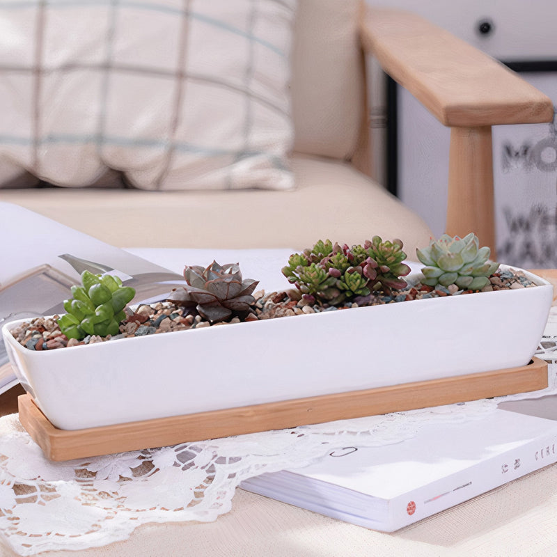 Succulent Planter-Long-0