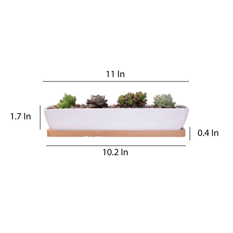 Succulent Planter-Long-4