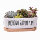 Message in a Planter - 7" Oval-2