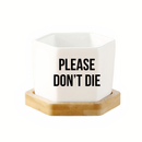 Message in a Planter - 4"-2