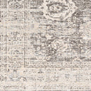 Divisoria Area Rug - Clearance-3