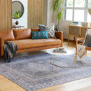 Baltinglass Gray Washable Area Rug-0