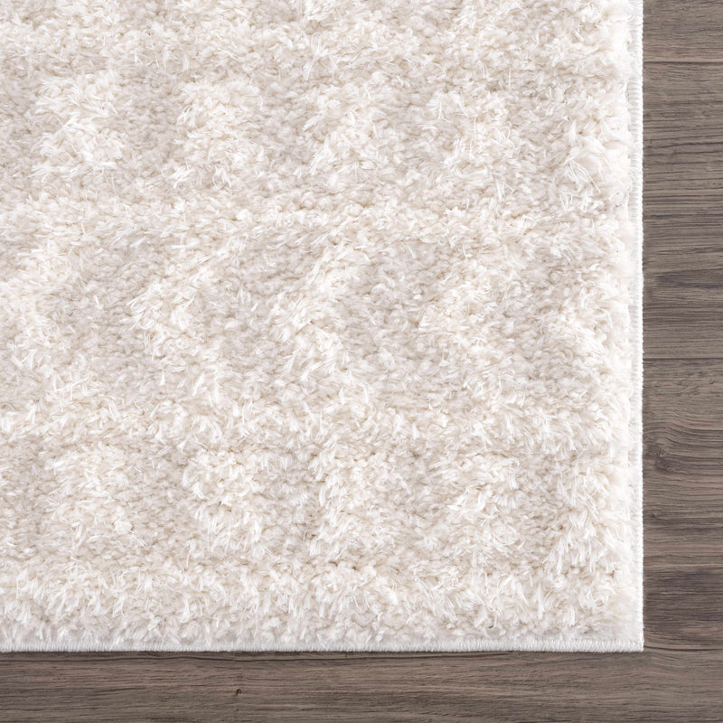 Sample Eivin Cream Area Rug-0