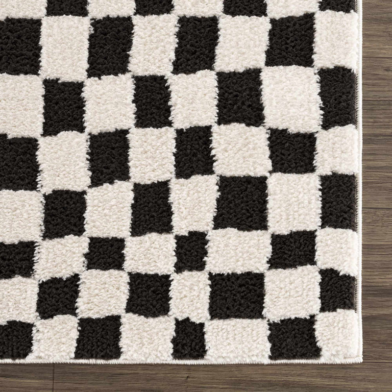 Sample Lajos Black & White Checkered Area Rug-0