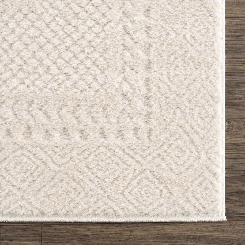 Sample Julio Ivory Area Rug-0