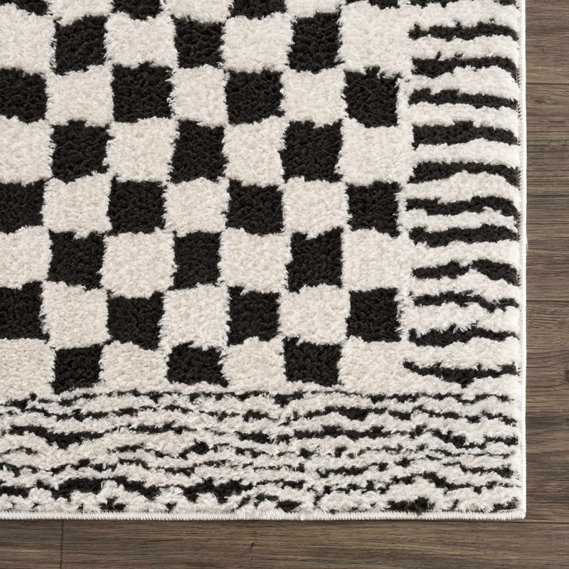 Sample Leryn Black & White Checkered Area Rug-0